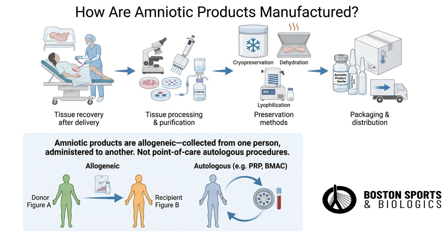Manufacturing and distributing prenatal amniotic tissue, wharton jelly, umbilical cord